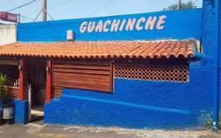 El Portezuelo - Guachinche en Tegueste, Metropolitan area