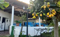 Don Trino - Guachinche en Santa Úrsula, North