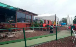 El Surtidor - Guachinche en Santa Úrsula, Norte