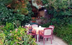 Finca El Pino - Guachinche en La Orotava, Nord