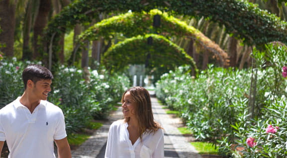 Jardines y parques naturales de Tenerife
