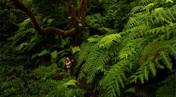 Naturaleza